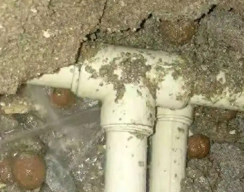 龙口测漏水多少钱