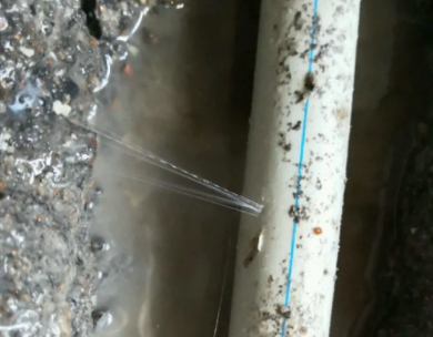 龙口测漏水哪家好