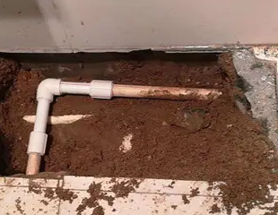 龙口测漏水哪家好