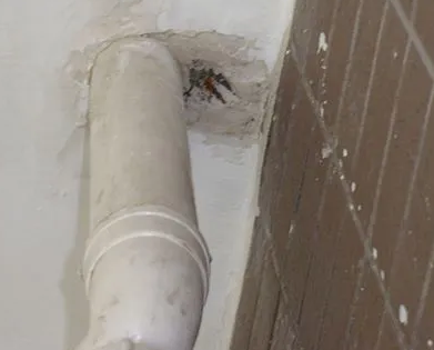 龙口漏水检测哪家好